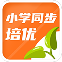 上海海港VS大连英博:王牌双后腰坐镇,梅伦多领衔,当家锋霸出击