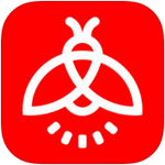 这届球迷的情绪,青岛啤酒都接住了